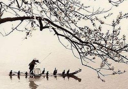 kaiyun停车坐爱枫林晚坐字古诗里有几种理解