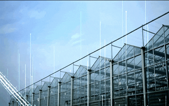 智能玻璃温室大棚的用途是什么？常见的配置有哪些kaiyun中国官方网站(图7)