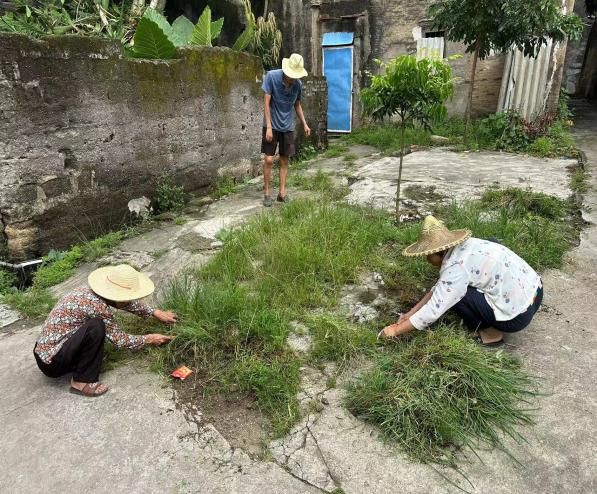 kaiyun【聚焦“百千万工程”】潮安区全域风貌整治提升8月24日各镇场工作动态(图21) kaiyun【聚焦“百千万工程”】潮安区全域风貌整治提升8月24日各镇场工作动态(图21)