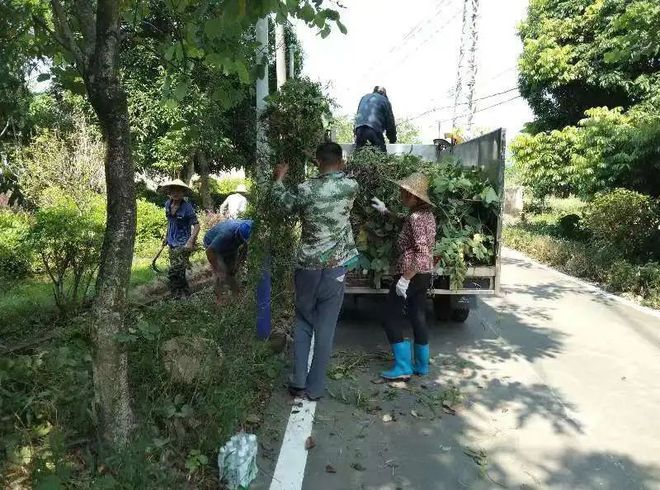 【聚焦“百千万工程”】潮安区全域风貌整治提升9月15日各镇场