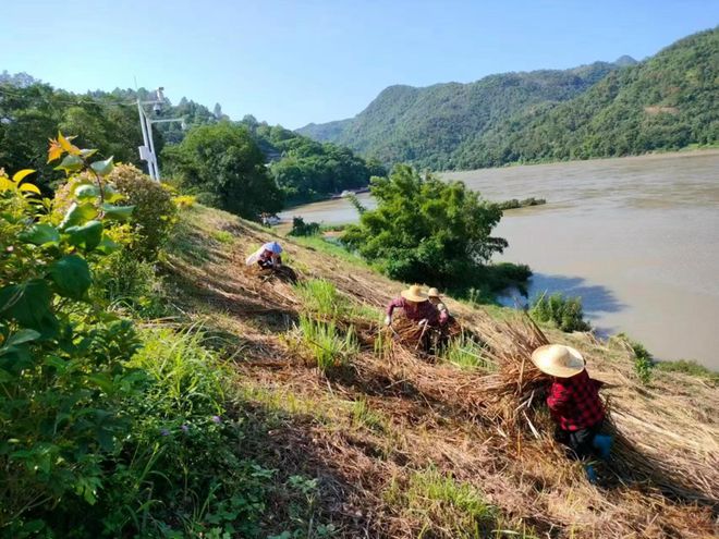 【聚焦“百千万工程”】潮安区全域风貌整治提升9月15日各镇场工作动态(图29) 【聚焦“百千万工程”】潮安区全域风貌整治提升9月15日各镇场工作动态(图29)