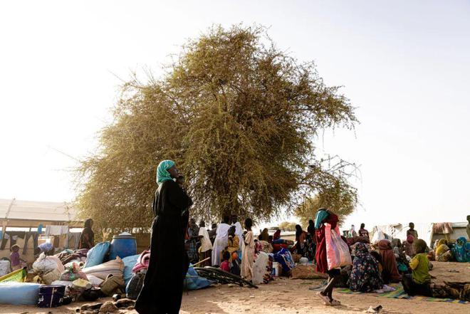 “我们从苏丹逃到这里除了捡回条命已一无所有”(图2)