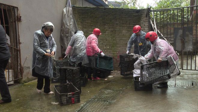 大整治、大消杀、大清理蓬安持续推动全民爱国卫生运动(图2)