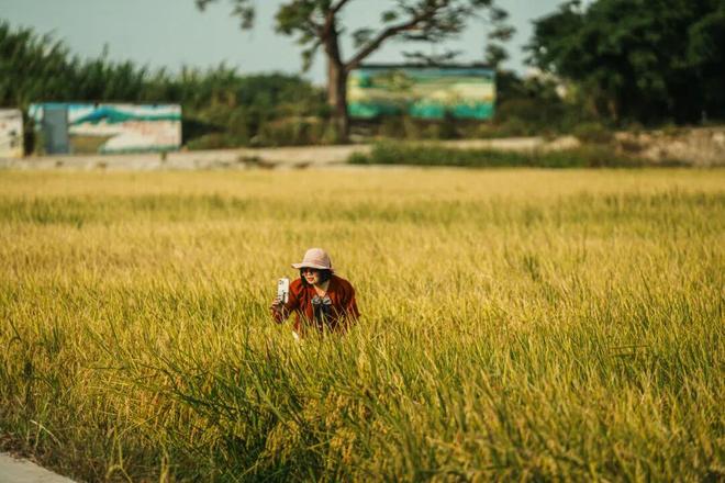 新津河碧道即将全线公里生态廊道(图2)