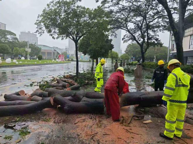 图集｜蓬江城管时刻在线年城市管理各类投诉同比下降1635%(图5)