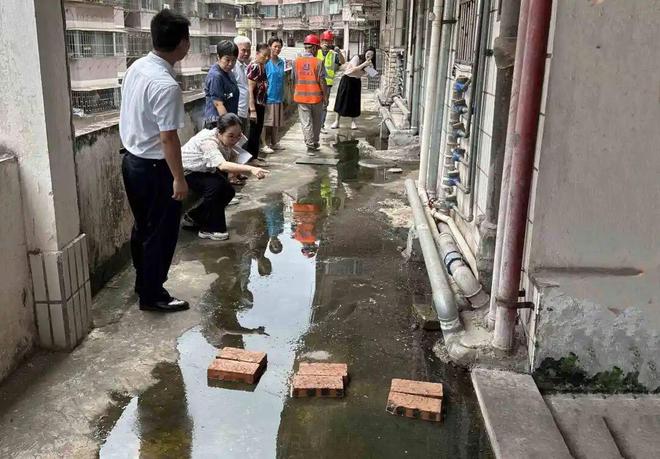 图集｜蓬江城管时刻在线年城市管理各类投诉同比下降1635%(图3)