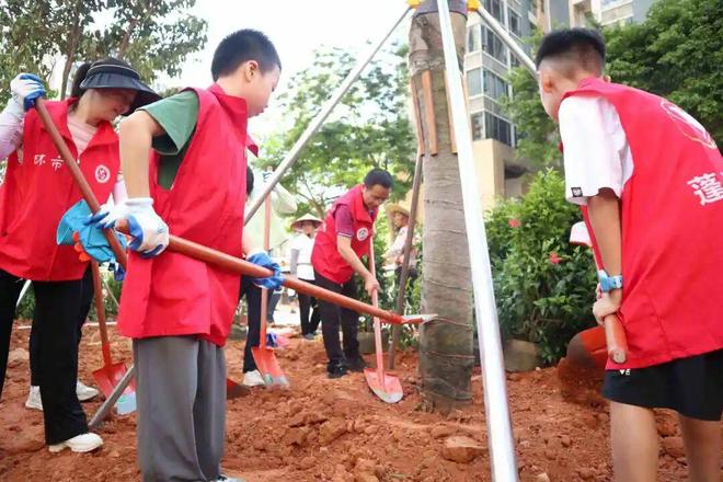 图集｜蓬江城管时刻在线年城市管理各类投诉同比下降1635%(图4)