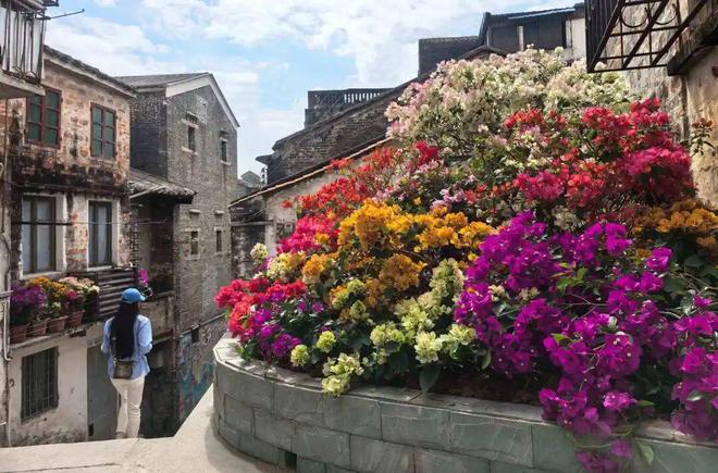 图集｜蓬江城管时刻在线年城市管理各类投诉同比下降1635%(图13)