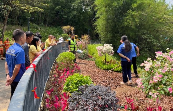 图集｜蓬江城管时刻在线年城市管理各类投诉同比下降1635%(图14)