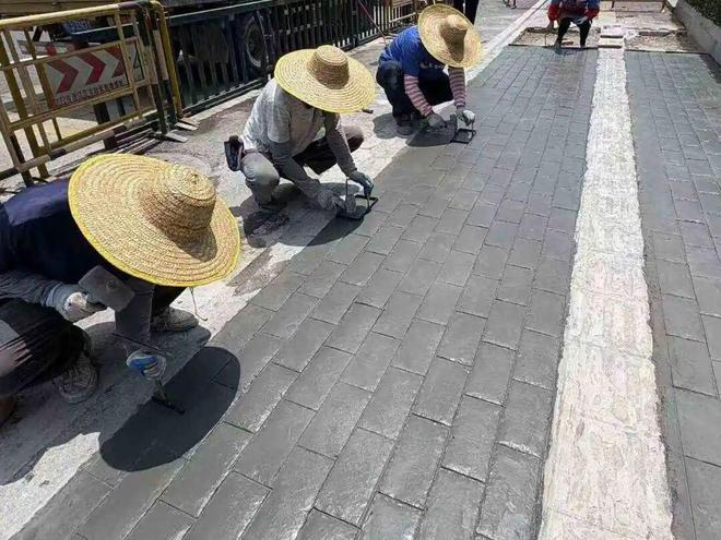 图集｜蓬江城管时刻在线年城市管理各类投诉同比下降1635%(图16)